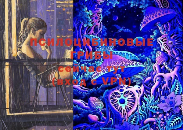 бошки Абинск